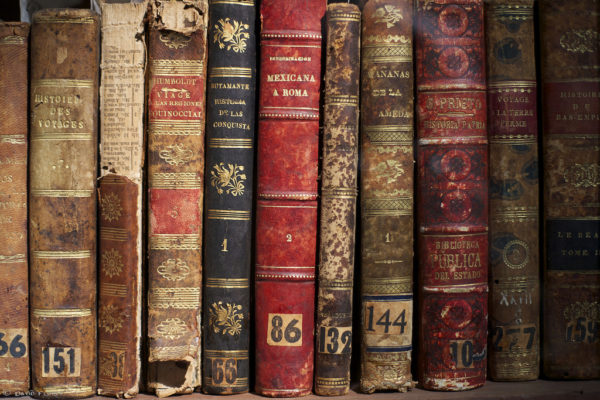 Books, beautiful books || creative commons photo by David Flores